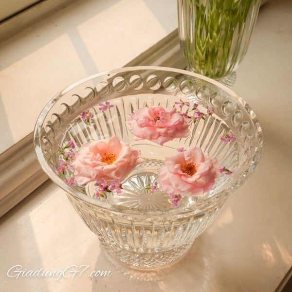 Tô pha lê Bohemia Crystal Windsor 28.5cm Pha lê Tiệp trong veo, lấp lánh, thiết kế sang trọng.