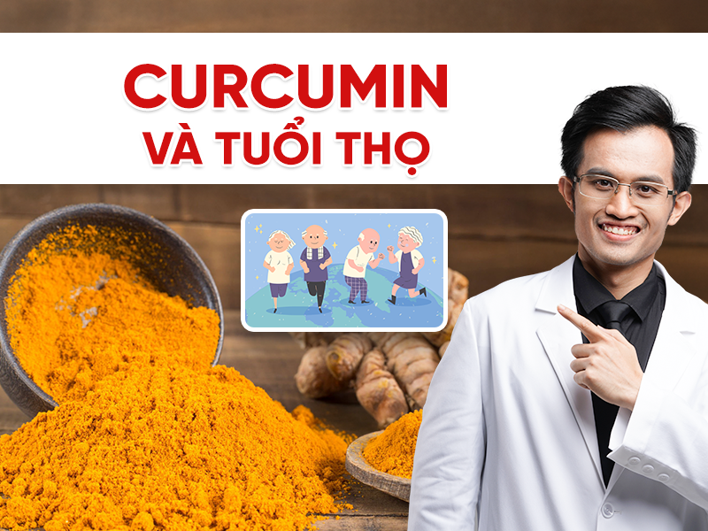 Curcumin và tuổi thọ: Tác dụng chống viêm – chống oxy hóa – chống lão hoá