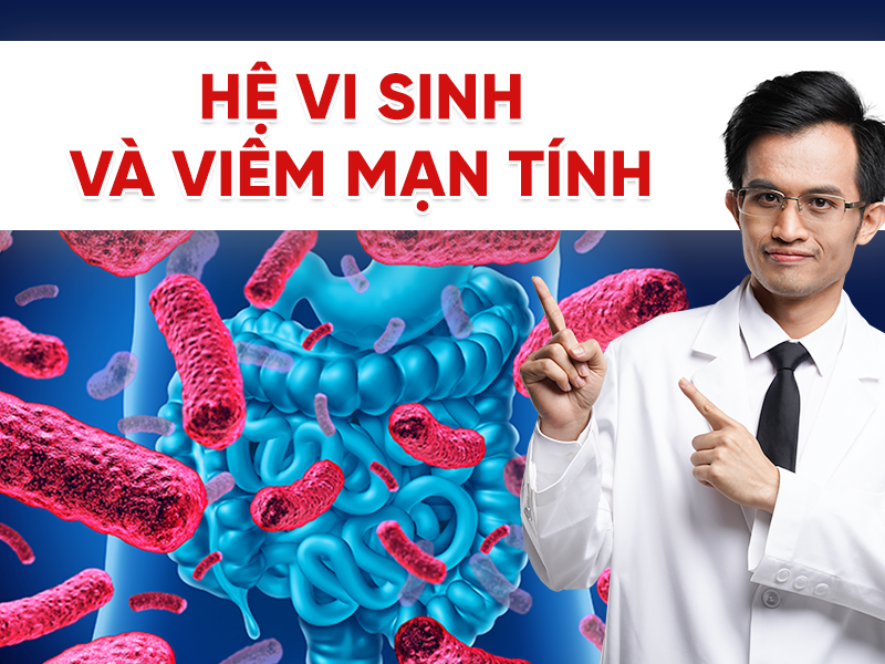 Hệ vi sinh và viêm mạn tính: Mối liên hệ quan trọng ảnh hưởng sức khỏe và tuổi thọ