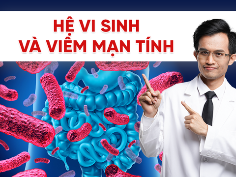 Hệ vi sinh và viêm mạn tính: Mối liên hệ quan trọng ảnh hưởng sức khỏe và tuổi thọ