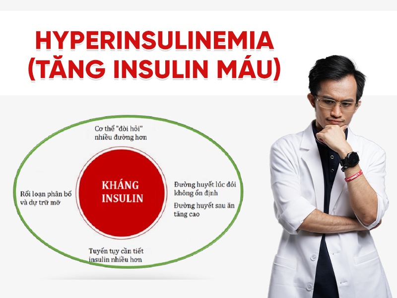 Hyperinsulinemia là gì? Nguyên nhân, dấu hiệu và nguy cơ kháng insulin tiềm ẩn