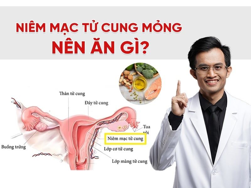 Niêm mạc tử cung mỏng nên ăn gì để cải thiện?