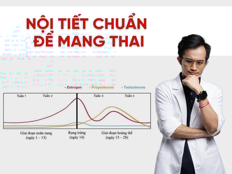 Nội tiết chuẩn để mang thai: Bảng hormone và thời điểm xét nghiệm