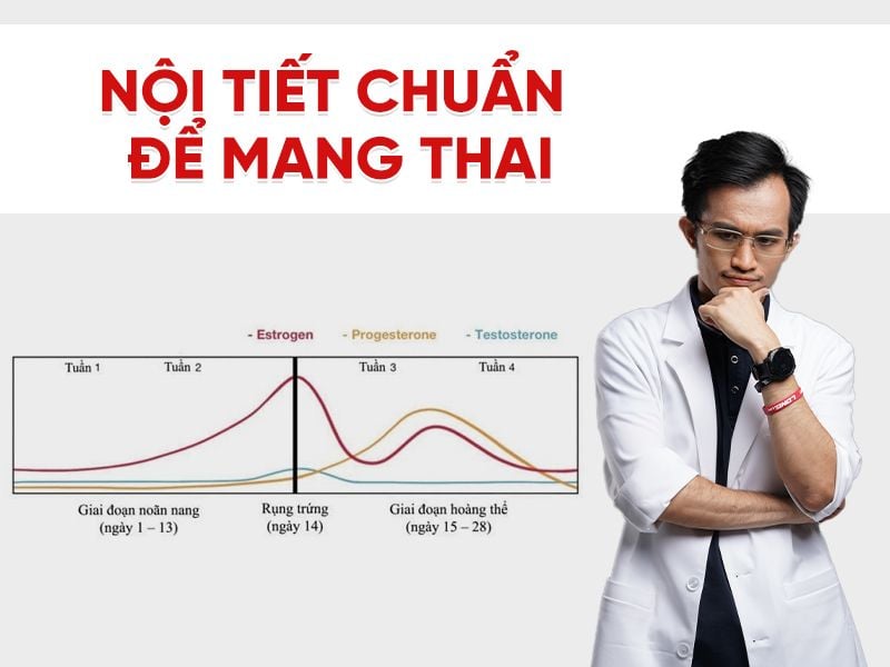 Nội tiết chuẩn để mang thai: Bảng hormone và thời điểm xét nghiệm