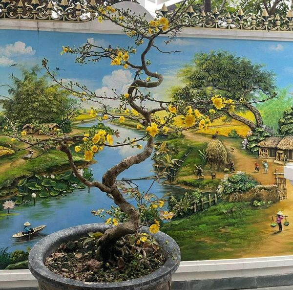 Thưởng Trà Bằng Cả Năm Giác Quan