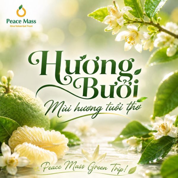 Hương Bưởi Không Nồng Nàn, Cũng Không Quá Mãnh Liệt!