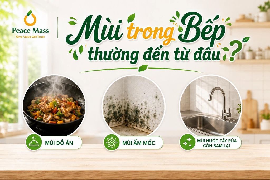 Mùi Trong Bếp Thường Đến Từ Đâu!