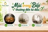 Mùi Trong Bếp Thường Đến Từ Đâu!