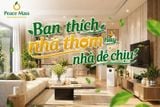 Bạn Thích Một Ngôi Nhà Thơm Hay Một Ngôi Nhà Dễ Chịu!