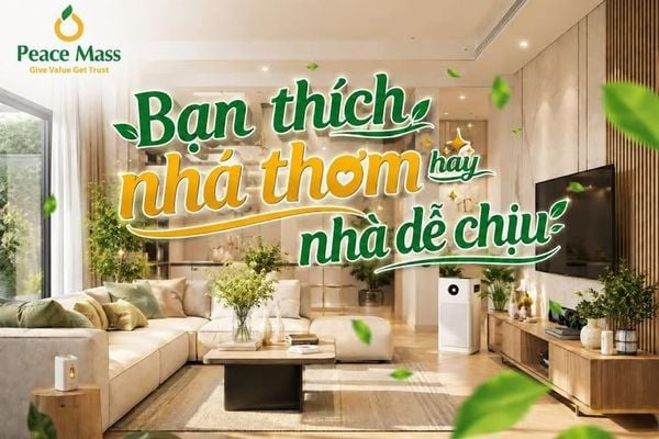 Bạn Thích Một Ngôi Nhà Thơm Hay Một Ngôi Nhà Dễ Chịu!
