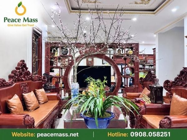 Khi Con Đã Lớn Nhưng Vẫn Ngại Làm Việc Nhà…