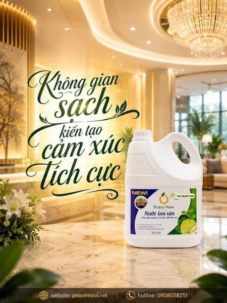 Không Gian Sạch Kiến Tạo Cảm Xúc Tích Cực!