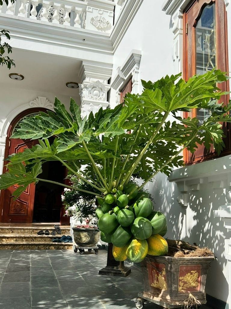 Mỗi Không Gian – Một Tầng Hương