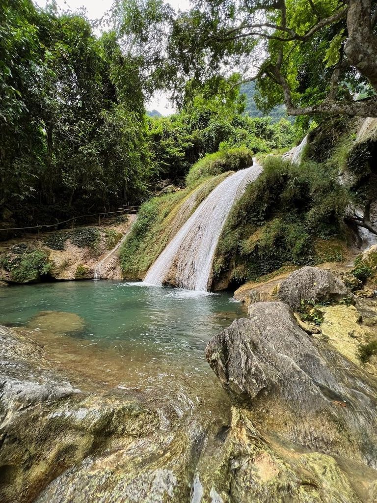 Tự Hào Trà Việt - Để Nhận Ra Bản Sắc, Để Hiểu Rõ Giao Thoa