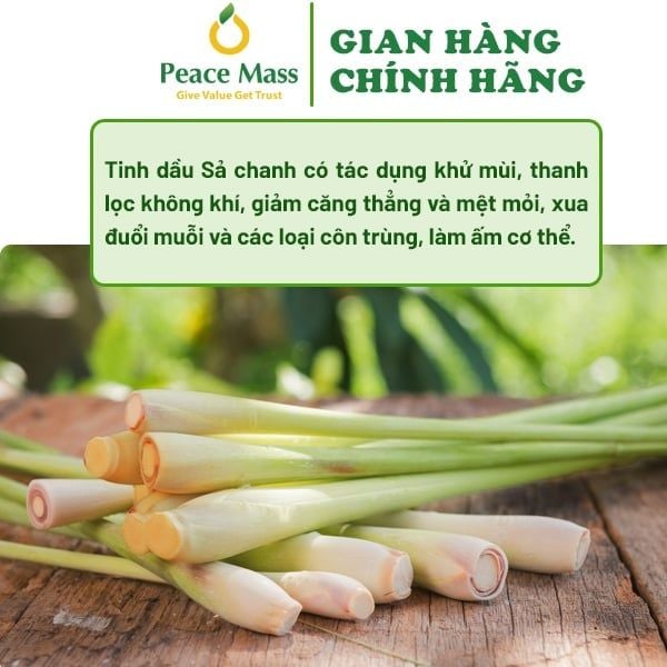 Tinh Dầu Sả Chanh Nguyên Chất – Dùng cho máy xông