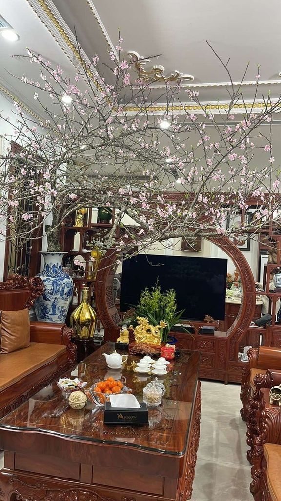 Thưởng Trà Ngày Xuân