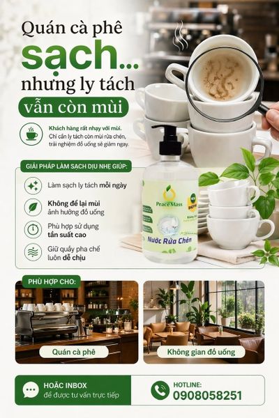 Quán Cà Phê Sạch… Nhưng Ly Tách Vẫn Còn Mùi