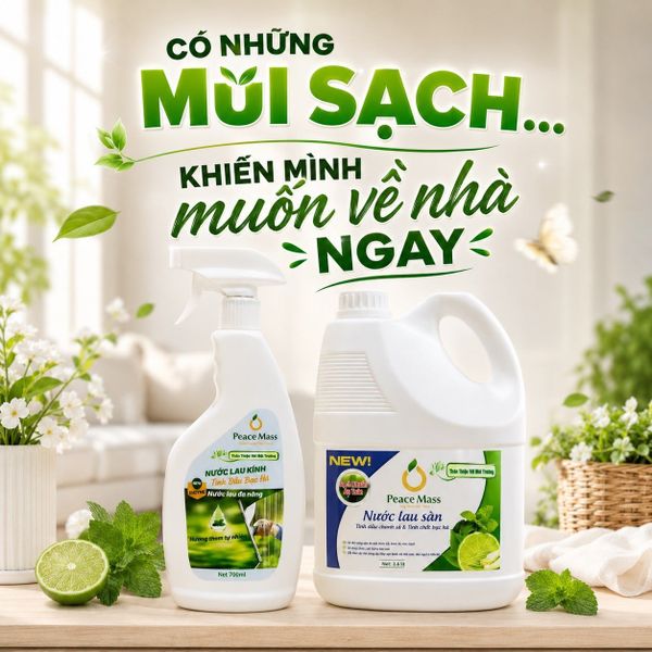Có Những Mùi Sạch… Khiến Mình Muốn Về Nhà Ngay. 🌿