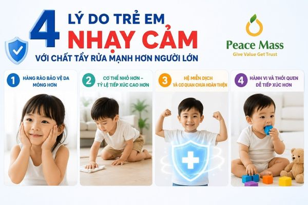 Bạn Có Đồng Ý Rằng…