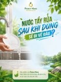 Nước Tẩy Rửa Sau Khi Dùng Đi Về Đâu
