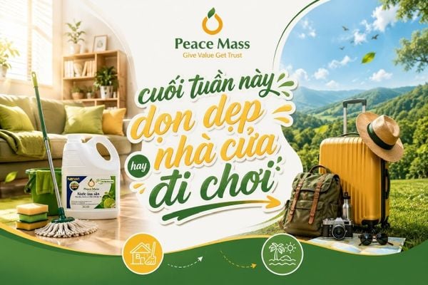 🌿 Cuối Tuần Này: Dọn Dẹp Nhà Cửa Hay Đi Chơi?