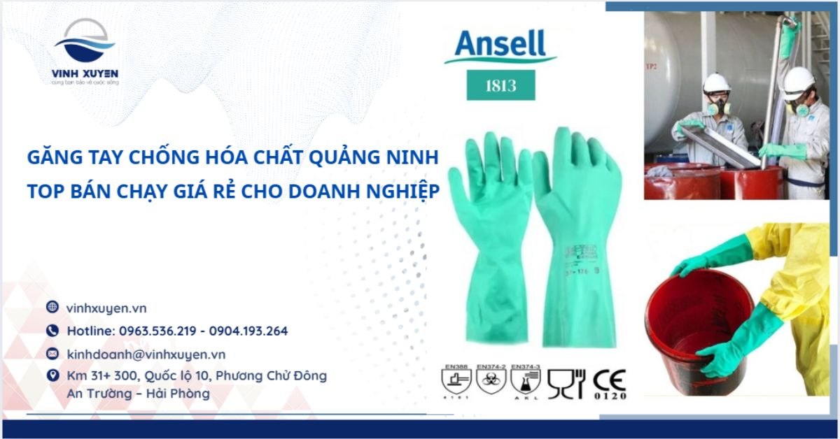 Găng Tay Chống Hóa Chất Quảng Ninh – Top Bán Chạy Giá Rẻ Cho Doanh Nghiệp