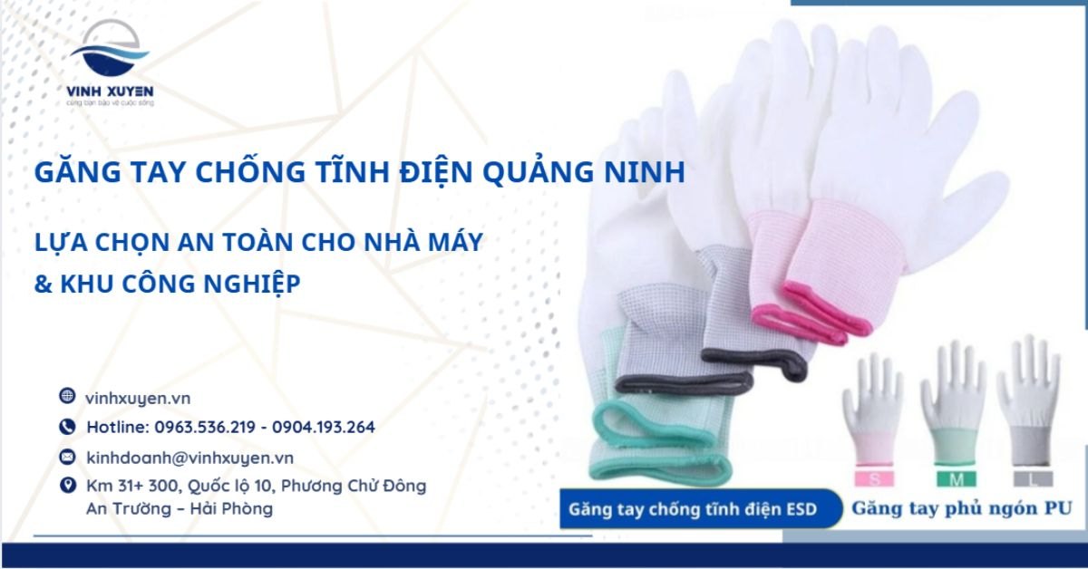 Găng Tay Chống Tĩnh Điện Quảng Ninh – Lựa Chọn An Toàn Cho Nhà Máy & Khu Công Nghiệp