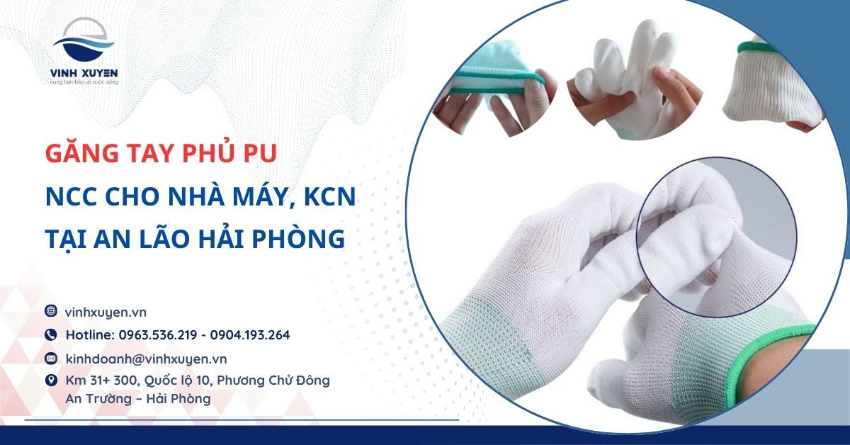 NCC Găng Tay Phủ PU Cho Nhà Máy, KCN Tại An Lão Hải Phòng