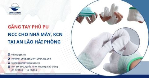 NCC Găng Tay Phủ PU Cho Nhà Máy, KCN Tại An Lão Hải Phòng