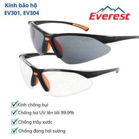 Kính Bảo Hộ EV301, EV304 Chính Hãng – Chống Bụi, Chống Tia UV, Giá Tốt Tại Hải Phòng