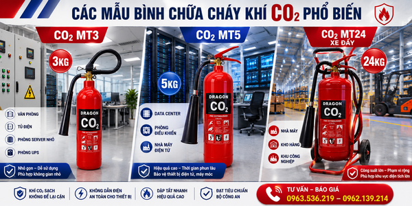 Các mẫu bình chữa cháy khí CO2 phổ biến