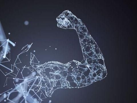 Cơ Bắp Mất Bao Lâu Để Phục Hồi? Tất Cả Những Điều Bạn Cần Biết