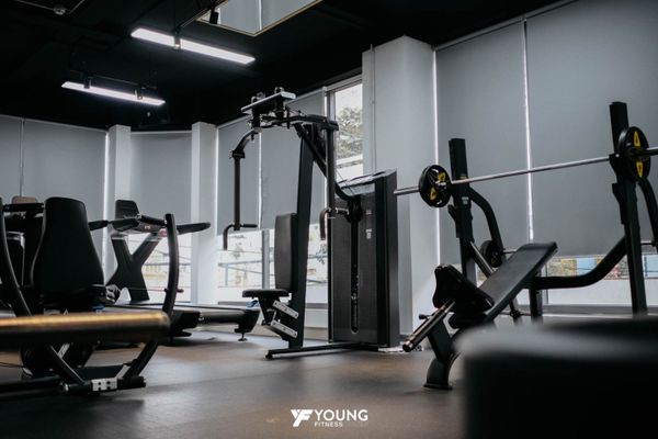 5 Lý Do Bạn Nên Lựa Chọn Young Fitness Để Tập Luyện - Phòng Gym Chất Lượng Tại Gò Vấp & Tân Phú