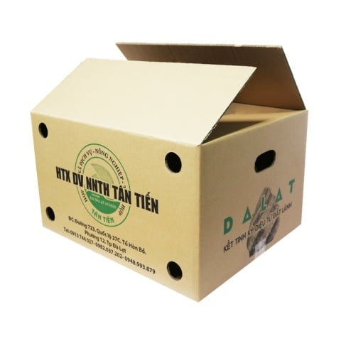 Top 8 xưởng in thùng carton cán màng theo yêu cầu tại Cần Thơ 2026