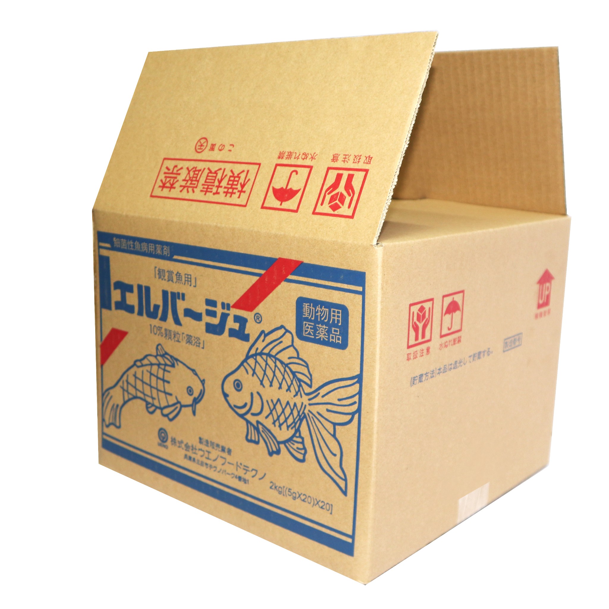 Top 8 xưởng in thùng carton cán màng theo yêu cầu tại Tây Ninh 2026