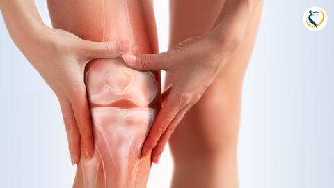 Đau đầu gối khi tập Yoga – Nguyên nhân, cách xử lý và phòng tránh hiệu quả