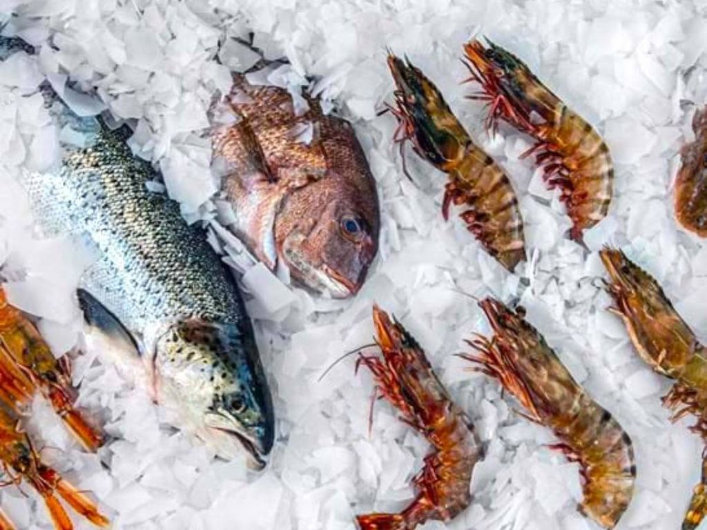 ứng dụng của đá vảy