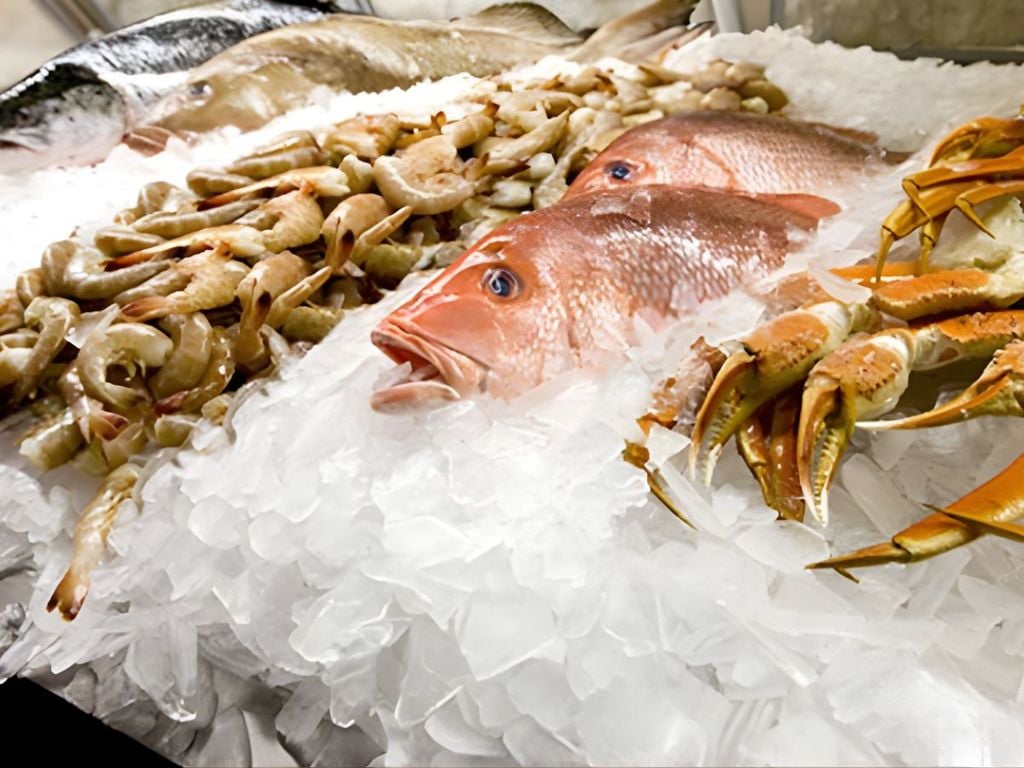 ứng dụng đá vảy từ máy làm đá vảy Bar Line Scotsman BF80 GB