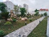 Hoàn Thiện Sân Vườn Hồ Cá Koi Quận 12