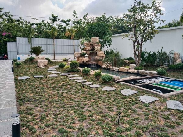 Hoàn Thiện Sân Vườn Hồ Cá Koi Quận 12