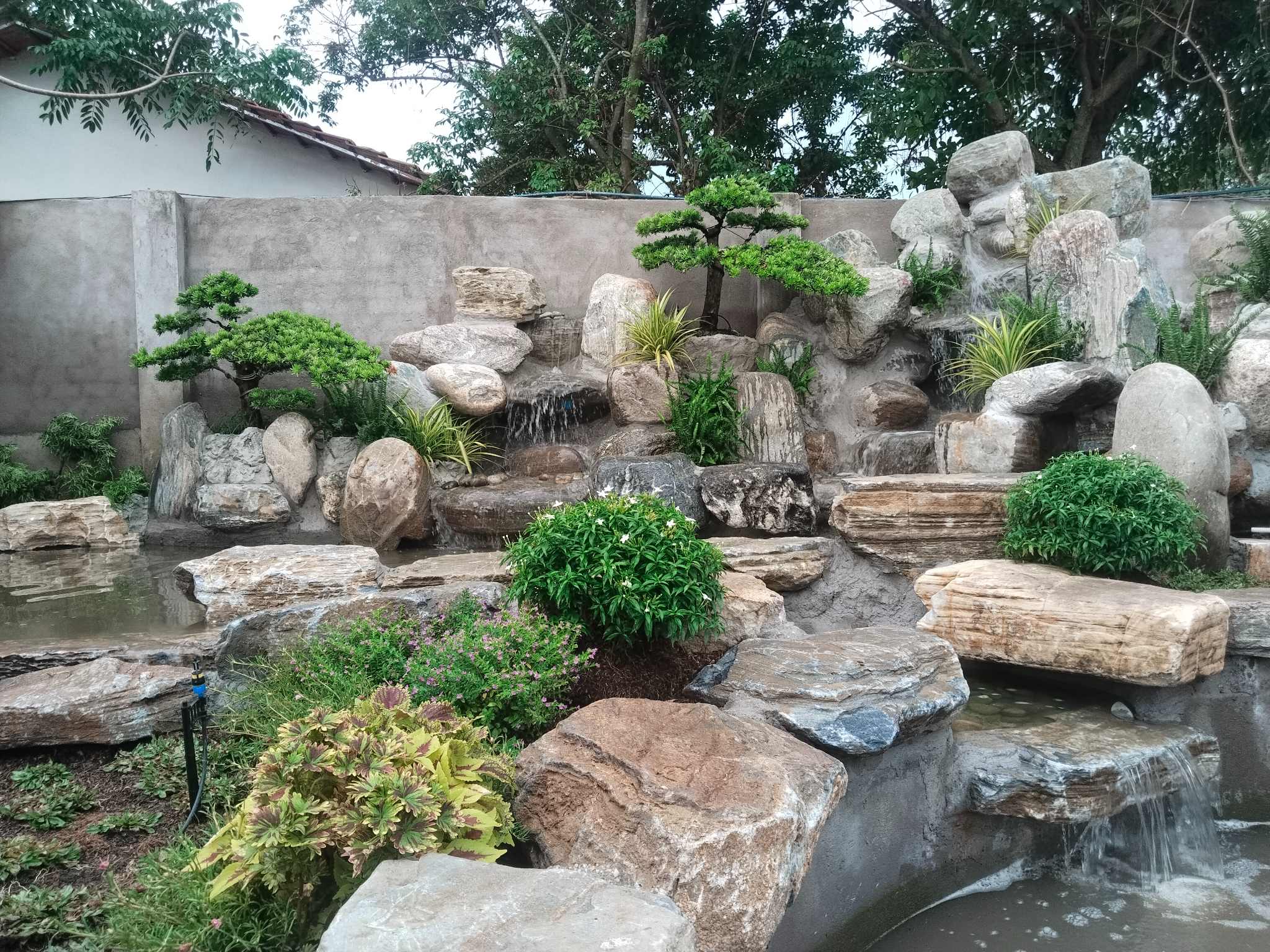 Thi Công Hồ Cá Koi Tại Củ Chi