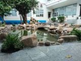 Thi Công Hoàn Thiện Công Trình Hồ Cá Koi Sân Vườn Tại Bình Tân