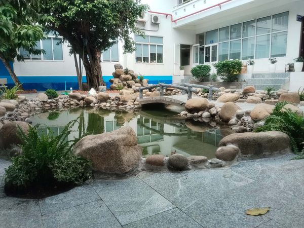 Thi Công Hoàn Thiện Công Trình Hồ Cá Koi Sân Vườn Tại Bình Tân