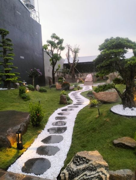 thi cong san vuon