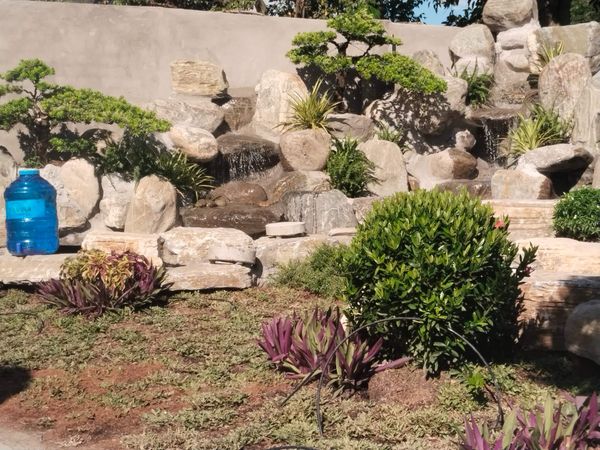nonbohocakoi