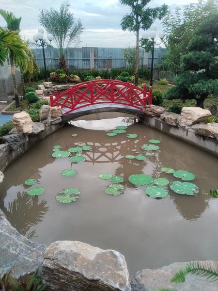 nonbohocakoi