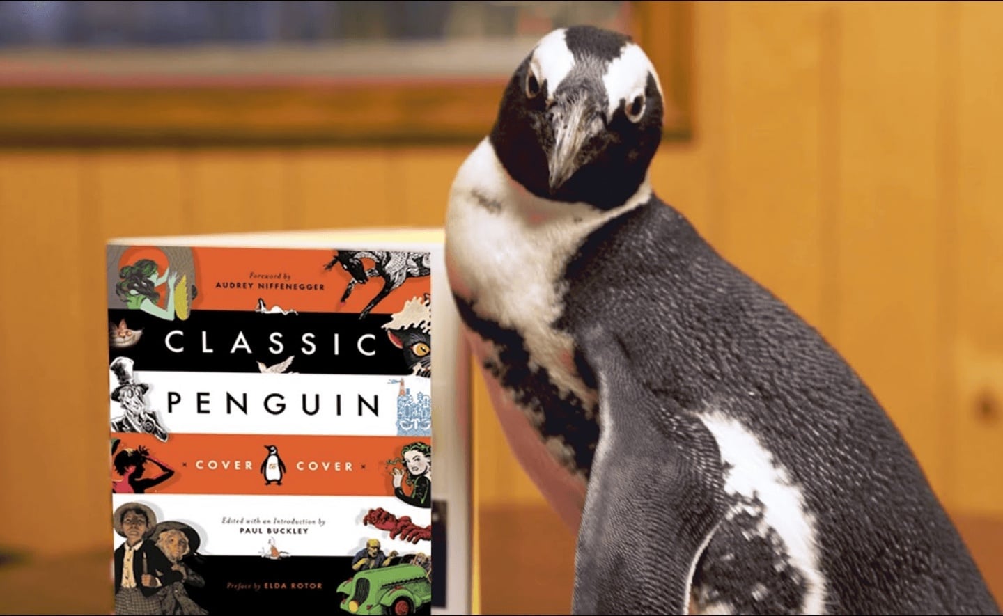 100 tác phẩm kinh điển hay nhất do độc giả bình chọn trên Penguin