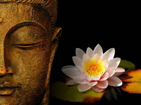 Mùa Phật đản nên tụng kinh gì?