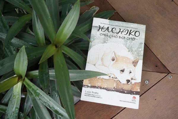'Hachiko, chú chó đợi chờ' - khúc ca về lòng trung thành