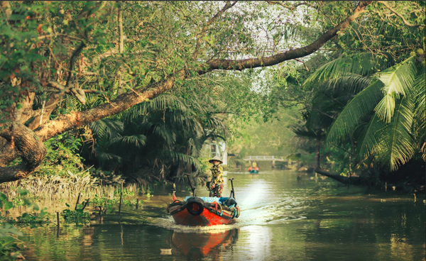 Cuốn sách bốn thế hệ gia đình tôi mê say